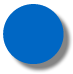 Blue Plastic Token