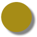 Gold Plastic Token