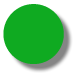Green Plastic Token