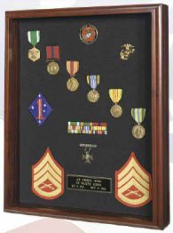 Medium Display Case