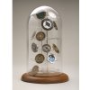 Dome Displays - Click Here!